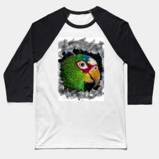 Parrot Baseball T-Shirt